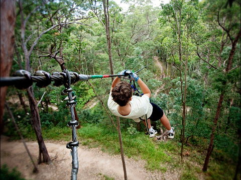 TreeTop Challenge - Accommodation NT 0