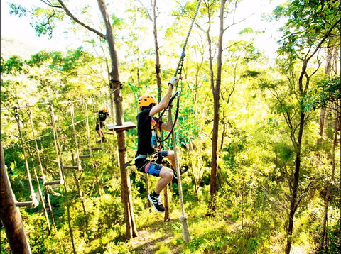TreeTop Challenge - Accommodation NT 1
