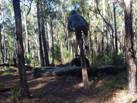 Turner Hill Mountain Bike Trail, Murray - Accommodation NT 1