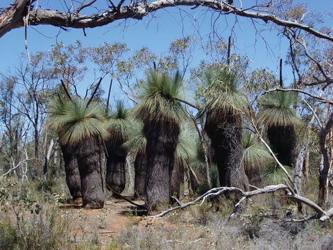 Warby-Ovens National Park - Accommodation NT 2