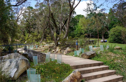 Wentworth Falls Picnic Area - Accommodation NT 0