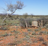 Winnecke Goldfield Cemetery - Accommodation NT