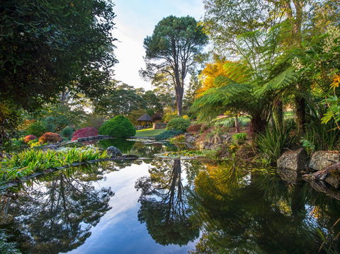 Windyridge Garden Mount Wilson - Accommodation NT 1