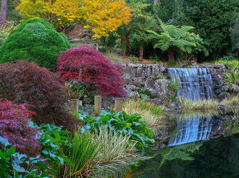 Windyridge Garden Mount Wilson - Accommodation NT 2