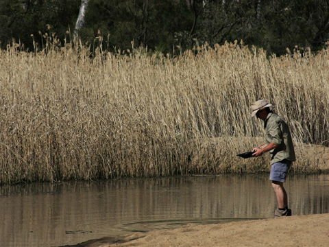 Wooldridge Recreation And Fossicking Reserve - Accommodation NT 2