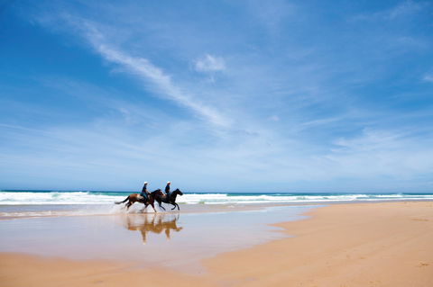 Worimi National Park - Accommodation NT 2