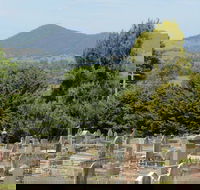Yackandandah Cemetery - Accommodation NT