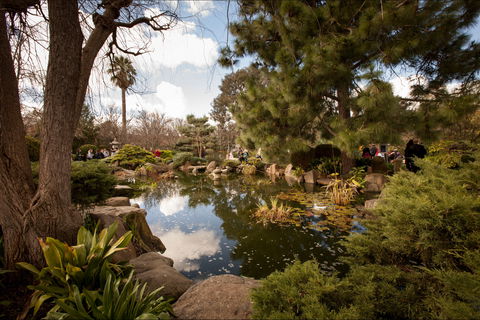 Adelaide Himeji Garden - Accommodation NT 1
