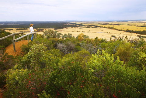 Archer Drive Scenic Drive And Lookout - Accommodation NT 0