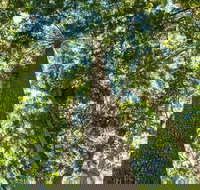 Big Sky National Parks - Accommodation NT