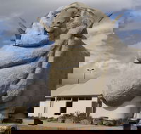 Big Merino - NT Tourism