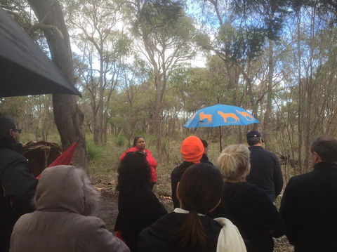 Bindjareb Cultural Park - Accommodation NT 2