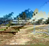 Bindea Walking Track - Accommodation NT