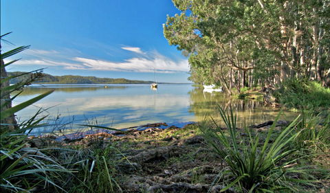 Black Oaks Picnic Area - Accommodation NT 0