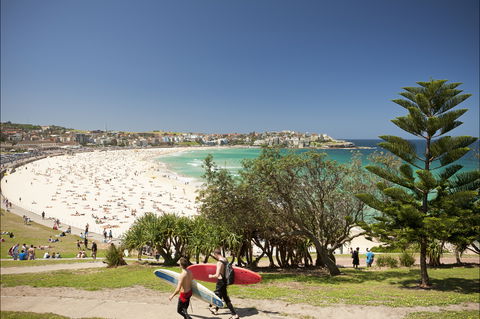Bondi To Coogee Coastal Walk - NT Tourism 0