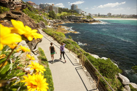Bondi To Coogee Coastal Walk - NT Tourism 2