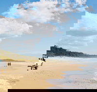 Bongil Bongil National Park - Accommodation NT