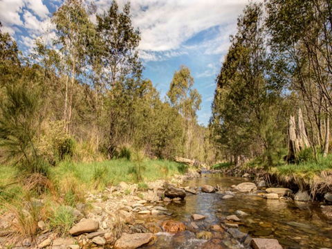 Brindabella National Park - Accommodation NT 2