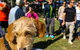 Burleigh Art And Craft Markets - thumb 2
