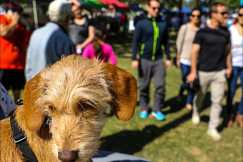 Burleigh Art And Craft Markets - Accommodation NT 2