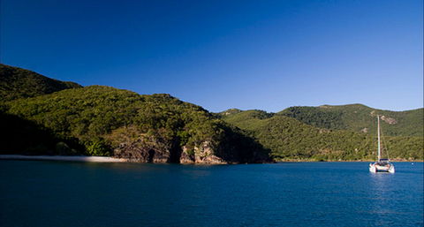 Butterfly Bay - Hook Island - Accommodation NT 0