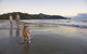 Cape Hillsborough National Park - thumb 0