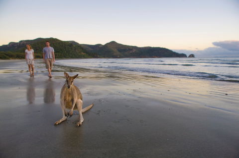 Cape Hillsborough National Park - Accommodation NT 0