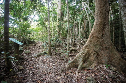 Cape Hillsborough National Park - Accommodation NT 2