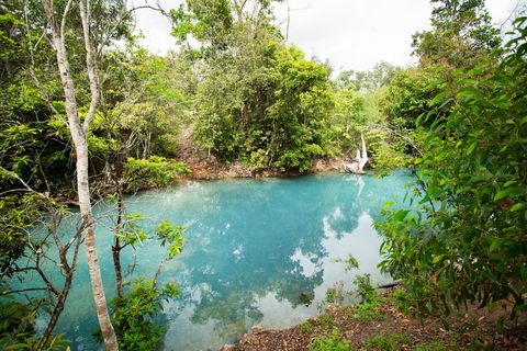 Cardwell Spa Pool - Accommodation NT 2