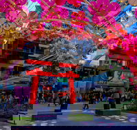 Cherry Blossom Festival - World Square - Accommodation NT