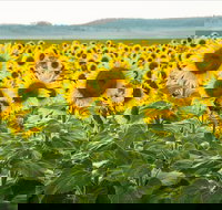 Clifton - Accommodation NT