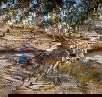 Cycle Mogo State Forest - Accommodation NT