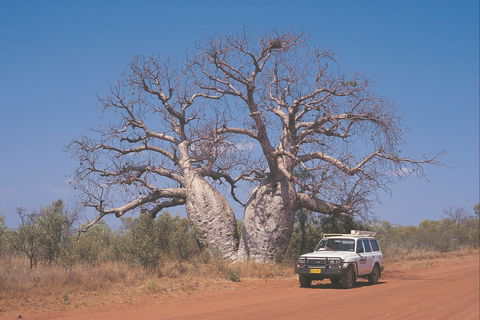 Gibb River Road - Accommodation NT 2