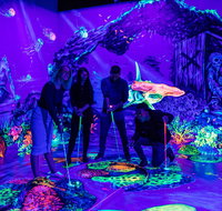 Glowing Rooms 3D Mini Golf - Accommodation NT