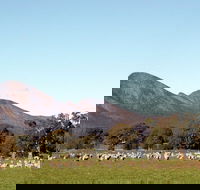 Grampians - Accommodation NT
