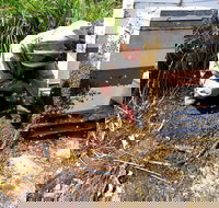 Honey Tasmania - The Beehive - Accommodation NT