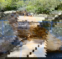 John Oxley Monument - Accommodation NT