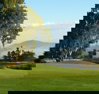 Kangaroo Tours at Gisborne Golf Club Inc - Accommodation NT