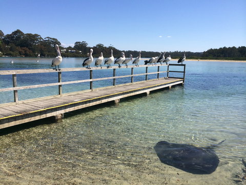 Kayaking Tomaga River - Accommodation NT 2