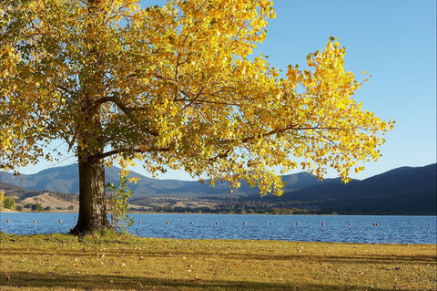 Khancoban - Accommodation NT 0