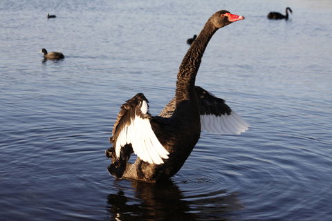 Lake Monger - NT Tourism 1