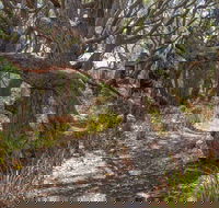 Middle Lagoon Walking Track - Accommodation NT