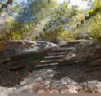 Mooney Mooney nature walk - Accommodation NT