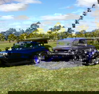 Moree Motor Enthusiasts - Accommodation NT
