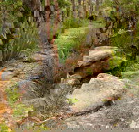 Mount Olive Trail - Accommodation NT