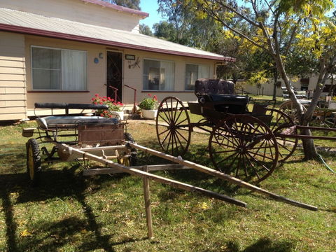 Mr And Mrs Behan Sulky Display - Accommodation NT 0