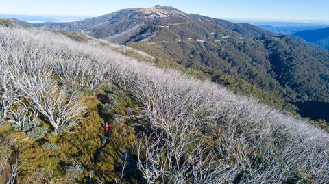 Mt Buller Bike Park - NT Tourism 0