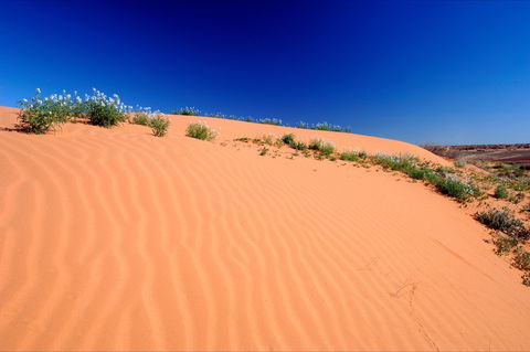 Munga-Thirri - Simpson Desert Conservation Park And Regional Reserve - Accommodation NT 1