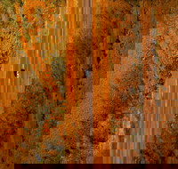 Newcastle Waters - Accommodation NT