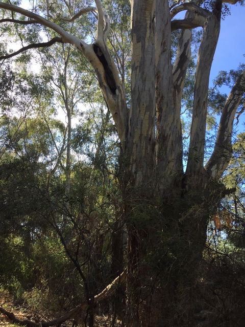 Northern Beaches - Accommodation NT 0